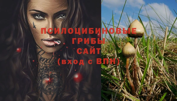 синтетический гашиш Алексин