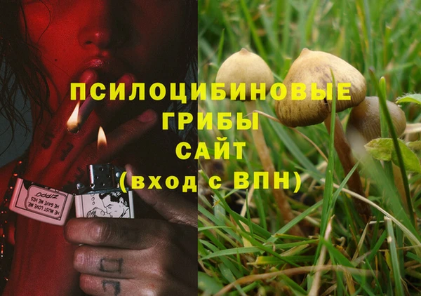 тгк Алзамай