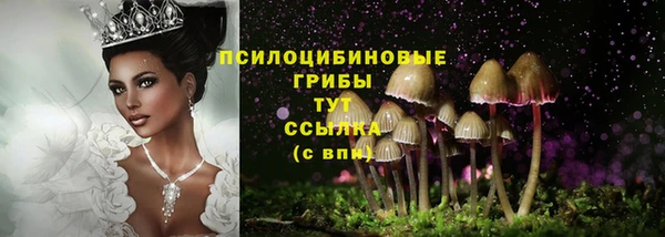 наркотики Алексеевка