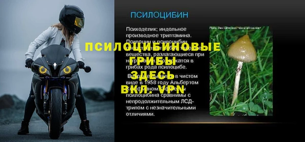 спиды Абдулино