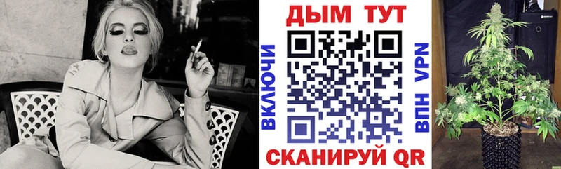 наркотики  Разумное  Каннабис THC 21% 